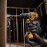 Dewalt DCD701D2 12VOLT/2.0AH Li-Ion Çift Akülü Kömürsüz Profesyonel Vidalama